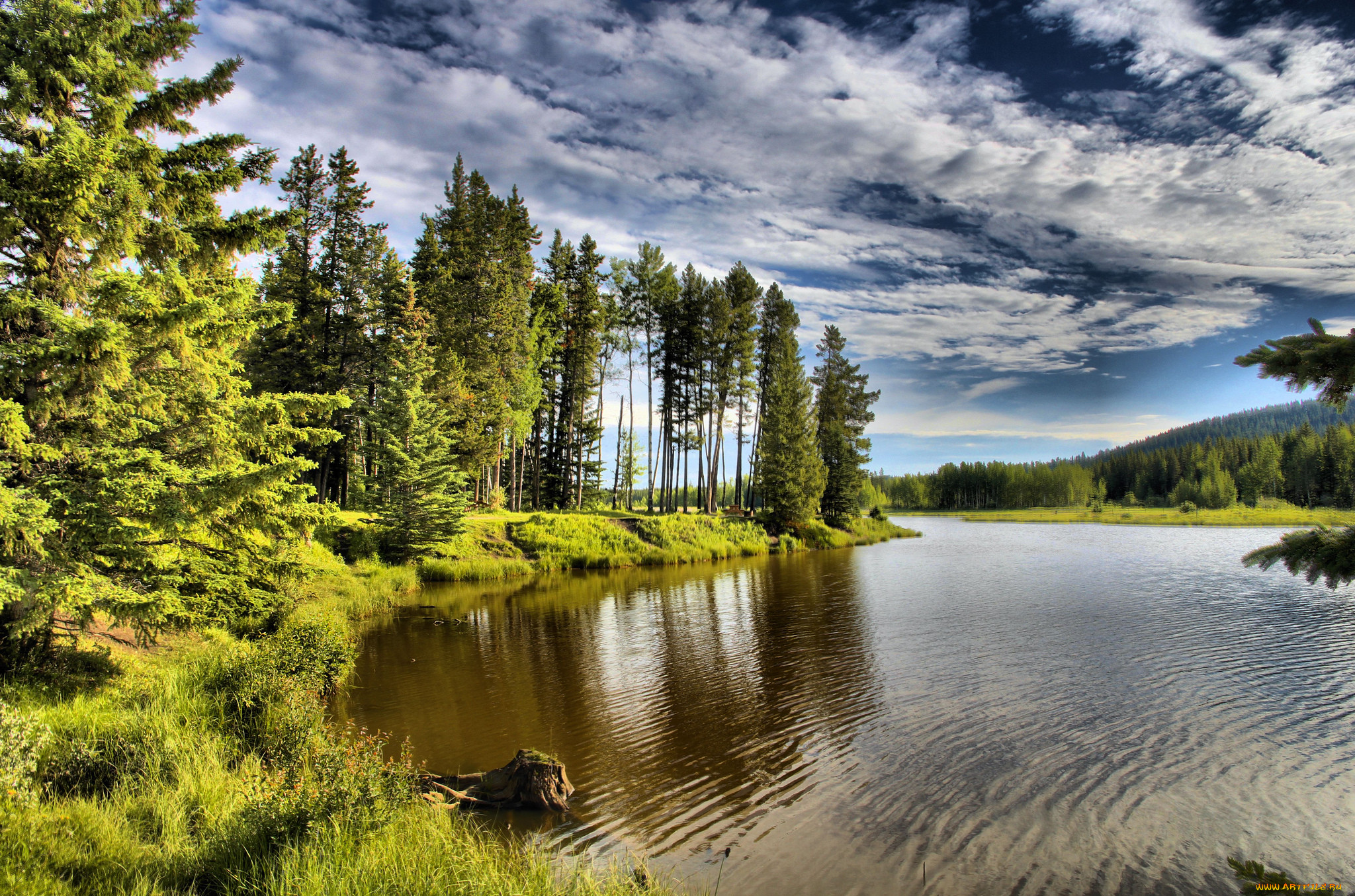 mclean creek, , , , , , 